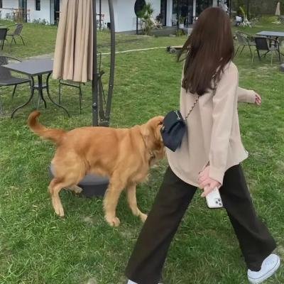 奔跑吧少年第4季
